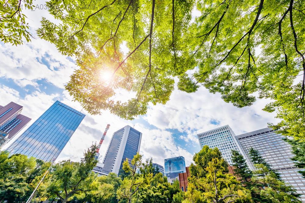 新手買房的隱形炸彈：這些常識居然從沒人提醒過你！示意圖